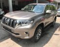 Toyota Prado VX 2.7L 2018 - Bán ô tô Toyota Prado 2.7 VX sản xuất 2018, nhập khẩu