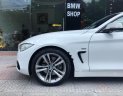 BMW 4 Series 2016 - Bán ô tô BMW 4 Series năm sản xuất 2016, màu trắng, nhập khẩu