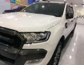 Ford Ranger Wildtrak 3.2L 4x4 AT 2016 - Bán ô tô Ford Ranger 3.2 đời 2016, màu trắng, xe nhập số tự động