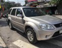 Ford Escape XLT 2.3L 4x4 AT 2010 - Cần bán xe Ford Escape XLT 2.3L 4x4 AT sản xuất 2010 giá cạnh tranh