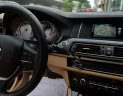 BMW 5 Series 520i 2016 - Bán BMW 5 Series 520i năm 2016, màu đen, nhập khẩu nguyên chiếc