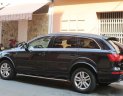 Audi Q7 2010 - Cần bán xe Audi Q7 3.0 TDI, nhập khẩu 2010, màu đen, chính chủ