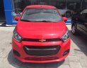 Chevrolet Spark Cũ   Dou Van 2018 - Xe Cũ Chevrolet Spark Dou Van 2018