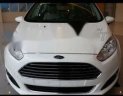 Ford Fiesta 2015 - Chính chủ bán xe Ford Fiesta năm sản xuất 2015, màu trắng