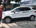 Ford EcoSport Titanium 2016 - Bán Ford EcoSport Titanium năm sản xuất 2016, màu trắng