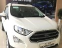 Ford EcoSport Titanium 1.5L AT 2018 - Bán Ford EcoSport Titanium 1.5L AT sản xuất năm 2018, màu trắng