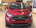 Ford EcoSport 2018 - Bán xe Ford Ecosport 2018, suất mua dành cho nhân viên