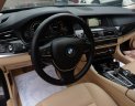 BMW 5 Series 520I 2016 - Cần bán BMW 5 Series 520I đời 2016, màu nâu, nhập khẩu