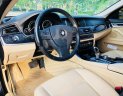 BMW 5 Series 520i 2014 - Cần bán xe BMW 5 Series 520i 2014, màu nâu, xe nhập