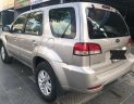 Ford Escape 2009 - Bán xe Ford Escape sản xuất năm 2009, màu hồng phấn