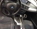 BMW X1 2010 - Cần bán BMW X1 sản xuất năm 2010, giá tốt