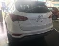 Hyundai Santa Fe 2018 - Bán ô tô Hyundai Santa Fe sản xuất 2018, màu trắng