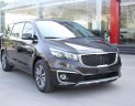 Kia Sedona 2018 - Bảng giá Kia Sedona màu nâu Hot nhất tháng 05/2018, khuyến mãi hấp dẫn, đủ màu, LH: 0934.075.248