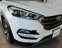 Hyundai Tucson  1.6 AT  2018 - Cần bán xe Hyundai Tucson 1.6 AT năm 2018, màu trắng, 892 triệu