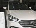 Hyundai Santa Fe 2018 - Bán ô tô Hyundai Santa Fe sản xuất 2018, màu trắng