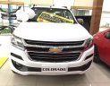 Chevrolet Colorado LTZ 2018 - Bán tải Chevrolet Colorado nhập khẩu. Cam kết giá tốt- Hỗ trợ vay 90%, liên hệ 0912844768