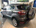 Ford EcoSport Titanium 1.5L AT 2018 - Bán xe Ford EcoSport Titanium 1.5L AT đời 2018, màu xám, giá chỉ 639 triệu