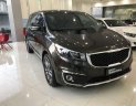 Kia Sedona 2018 - Bán ô tô Kia Sedona sản xuất năm 2018, màu đen