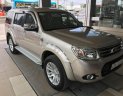 Ford Everest 2013 - Bán xe Ford Everest năm sản xuất 2013, màu vàng, 660 triệu