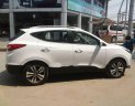 Hyundai Tucson 2010 - Cần bán xe Hyundai Tucson đời 2010, màu trắng, nhập khẩu  