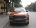 Ford Ranger Wildtrak 3.2L 4x4 AT 2016 - Cần bán Ford Ranger Wildtrak 3.2 sản xuất năm 2016, xe nhập, giá 810tr