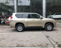 Toyota Prado 2009 - Bán Toyota Prado 2.7 bản nhập Trung Đông lốp treo(cực hiếm) model 2010 siêu hot