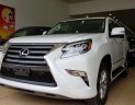 Lexus GX 460 2010 - Cần bán Lexus Gx460 sản xuất 2010 ,đã lên model 2015