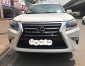 Lexus GX 460 2010 - Bán ô tô Lexus GX 460 2010, màu trắng, nhập khẩu