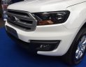 Ford Everest  2.2 Ambiente 4x2 MT 2018 - Bán xe Ford Everest Ambiente 2.2L 2018 (máy dầu, số sàn) nhập Thái, giá 950 triệu (tạm tính), vay 80% LS 0.7%/tháng