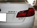 BMW 5 Series 2011 - Bán BMW 5 Series đời 2011, nhập khẩu nguyên chiếc