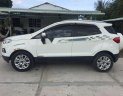 Ford EcoSport 2016 - Cần bán xe Ford EcoSport đời 2016, màu trắng