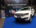 Ford Everest  2.2 Ambiente 4x2 MT 2018 - Bán xe Ford Everest Ambiente 2.2L 2018 (máy dầu, số sàn) nhập Thái, giá 950 triệu (tạm tính), vay 80% LS 0.7%/tháng