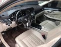 Mercedes-Benz E class E250 AMG 2015 - Bán Mercedes E250 AMG sản xuất 2015, màu nâu