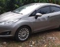 Ford Fiesta   Titanium  2014 - Bán Ford Fiesta Titanium sản xuất 2014, màu xám  