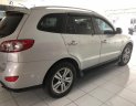 Hyundai Santa Fe SLX 2010 - Bán Hyundai Santa Fe SLX 2010, màu bạc, nhập khẩu nguyên chiếc