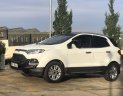 Ford EcoSport 2015 - Bán Ford EcoSport sản xuất 2015, màu trắng, giá 510tr