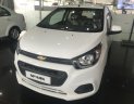 Chevrolet Spark LS 2018 - Bán Spark LS. Hỗ trợ thêm cho khách hàng, đăng ký chạy Grab khí đạt được 70 cuốc