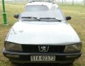 Peugeot 505   1995 - Bán Peugeot 505 đời 1995, màu xám, xe nhập xe gia đình, giá tốt