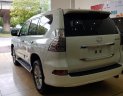 Lexus GX 460 2010 - Cần bán Lexus Gx460 sản xuất 2010 ,đã lên model 2015