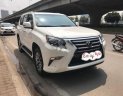 Lexus GX 460 2010 - Bán ô tô Lexus GX 460 2010, màu trắng, nhập khẩu