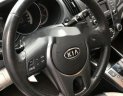 Kia Forte 2009 - Bán ô tô Kia Forte năm sản xuất 2009, màu xám, nhập khẩu nguyên chiếc  