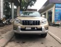 Toyota Prado 2009 - Cần bán xe Toyota Prado sản xuất năm 2009, màu vàng, nhập khẩu