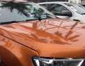 Ford Ranger 2017 - Cần bán Ford Ranger sản xuất 2017, màu nâu, nhập khẩu nguyên chiếc