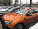 Ford Ranger 2017 - Cần bán Ford Ranger sản xuất 2017, màu nâu, nhập khẩu nguyên chiếc