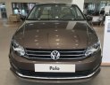 Volkswagen Polo 2017 - Bán xe Volkswagen Polo Sedan 2018, màu nâu, nhập khẩu - LH 0967.335.988