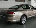 Volkswagen Passat GP 2017 - Cần bán Volkswagen Passat GP nhập nhập khẩu, mới 100% - chỉ cần 400 triệu đem xe về ngay