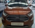 Ford EcoSport 1.0 Ecoboost Titanium+ 2018 - Bán ô tô Ford EcoSport 1.0 Ecoboost Titanium+ 2018, màu nâu, giá 689tr