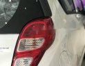 Chevrolet Spark LS 2018 - Bán Chevrolet Spark năm sản xuất 2018, màu trắng, 319 triệu