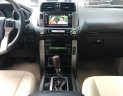 Toyota Prado 2009 - Cần bán xe Toyota Prado sản xuất năm 2009, màu vàng, nhập khẩu