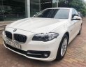 BMW 5 Series 520i 2016 - Cần bán lại xe BMW 5 Series 520i đời 2016, màu trắng, nhập khẩu